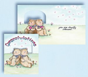 Pinx Gift Enclosure 2195