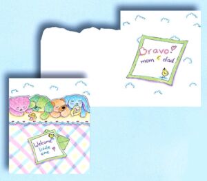 Pinx Gift Enclosure 2239