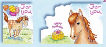 Pinx Birthday Card B650