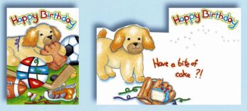 Pinx Birthday Card B689