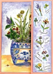 Pinx BookMark Card BM015