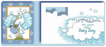 Pinx Baby Card NB661